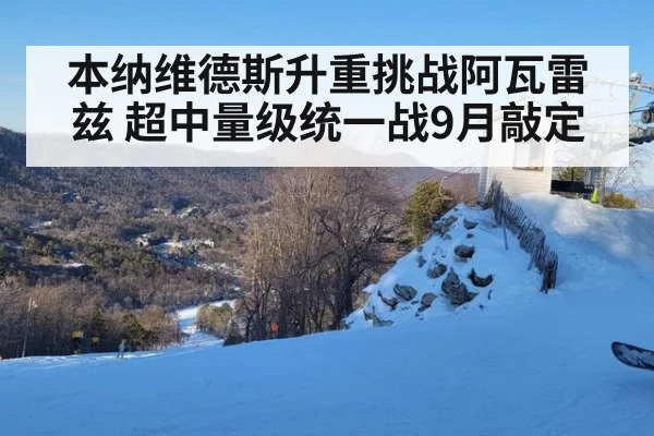 本纳维德斯升重挑战阿瓦雷兹 超中量级统一战9月敲定
