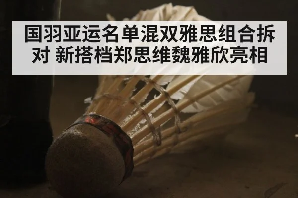 国羽亚运名单混双雅思组合拆对 新搭档郑思维魏雅欣亮相