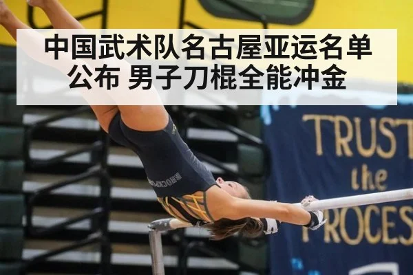 中国武术队名古屋亚运名单公布 男子刀棍全能冲金